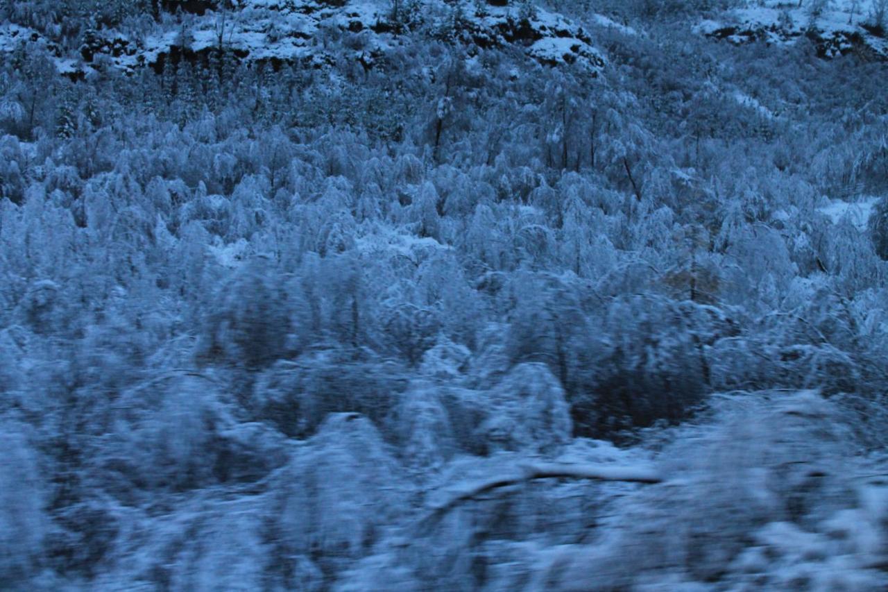 Loch Arklet House Bed and Breakfast Στέρλινγκ Εξωτερικό φωτογραφία