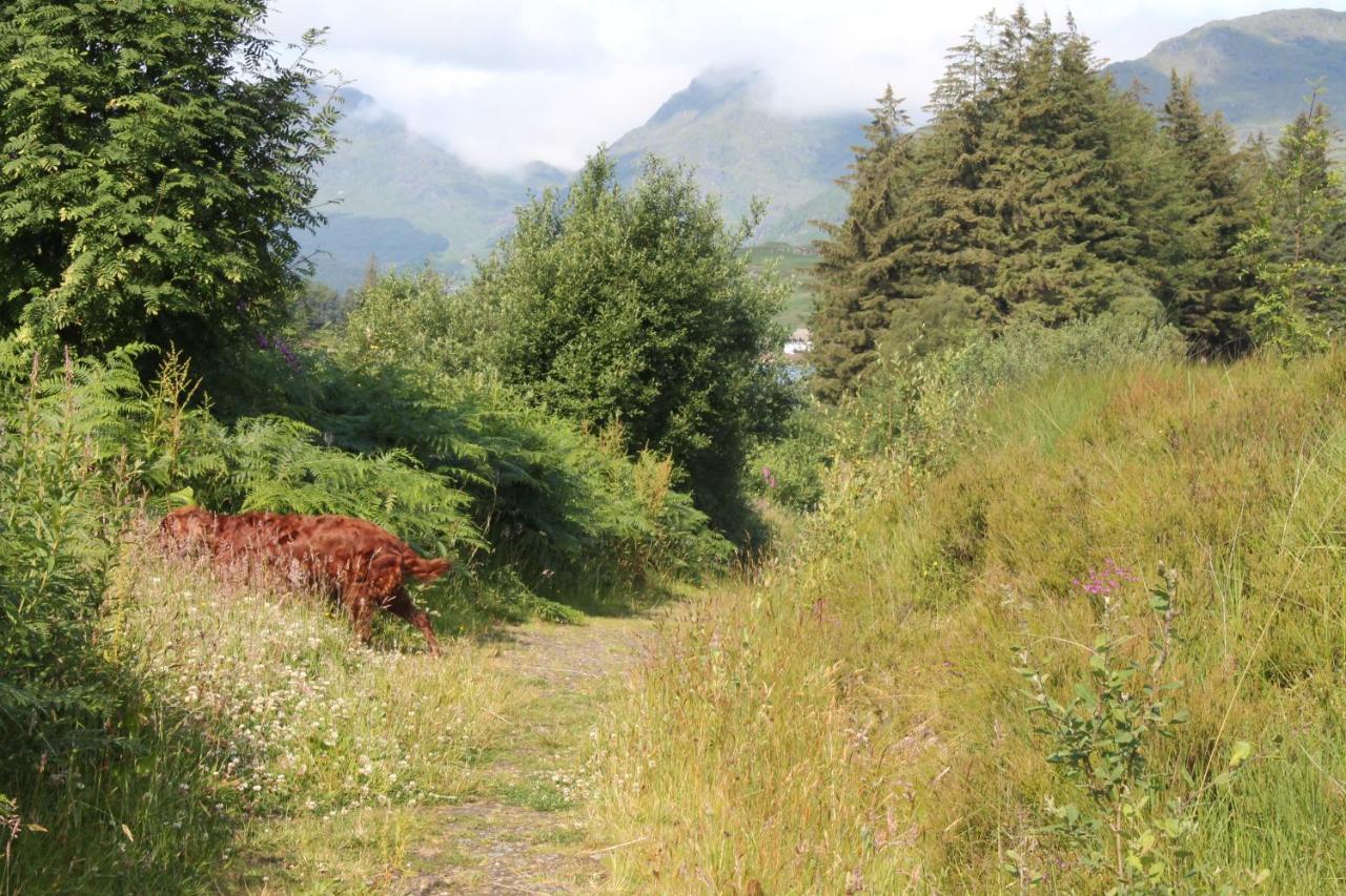 Loch Arklet House Bed and Breakfast Στέρλινγκ Εξωτερικό φωτογραφία