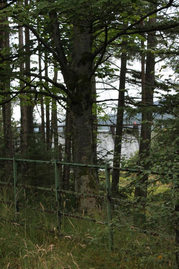 Loch Arklet House Bed and Breakfast Στέρλινγκ Εξωτερικό φωτογραφία